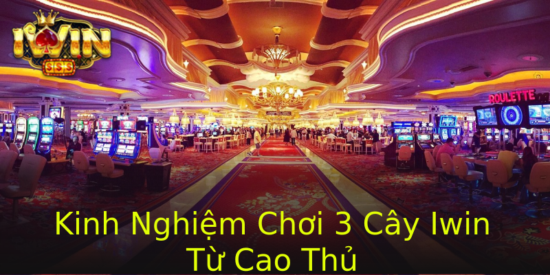 Kinh Nghiệm Chơi 3 Cây Iwin Từ Cao Thủ Kinh Nghiệm Chơi 3 Cây Iwin Từ Cao Thủ